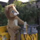 Ein Mitarbeiter in einem Löwenkostüm simuliert einen Ausbruch aus dem Zoo in Japan